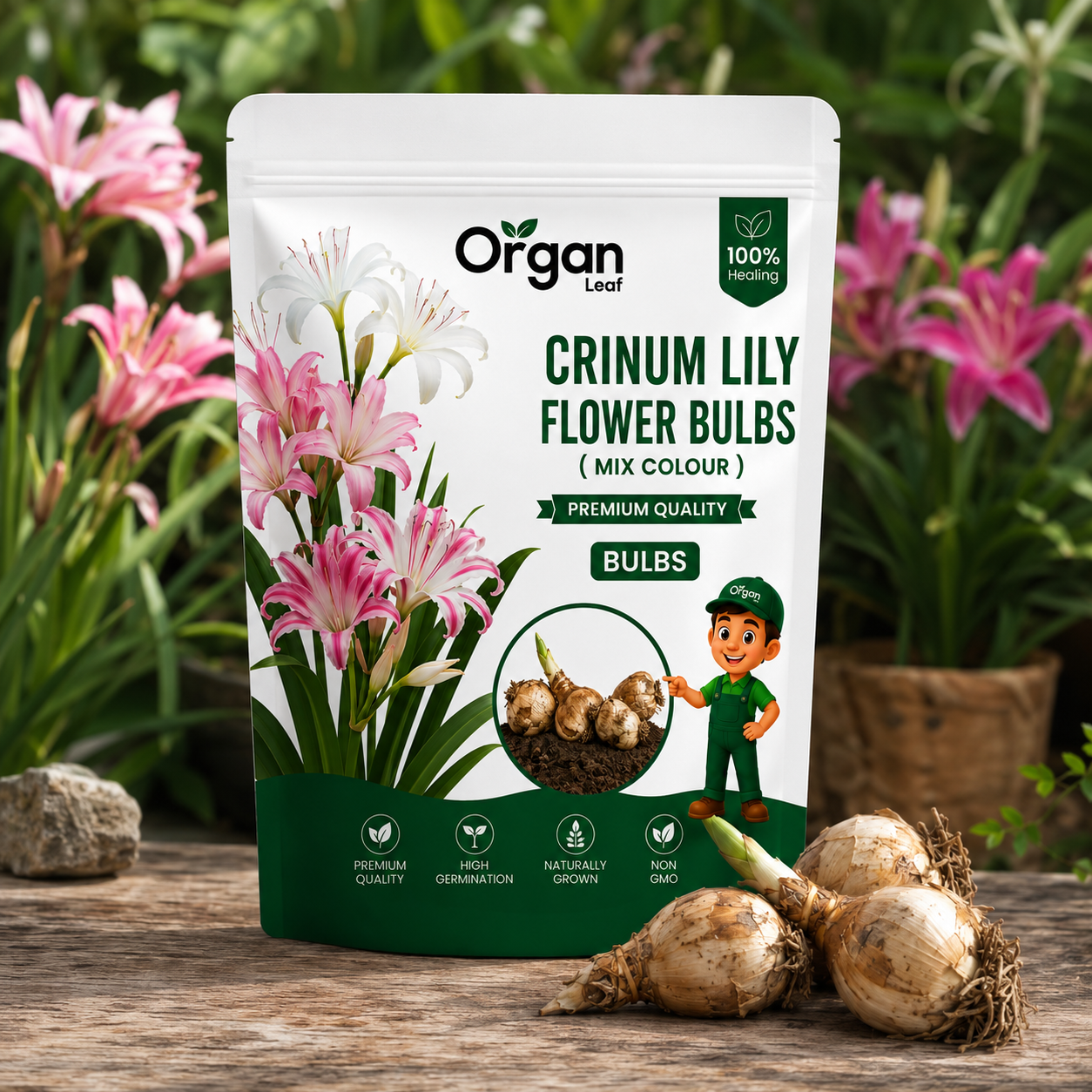 Crinum Lily Bulbs ( Mix Colour)