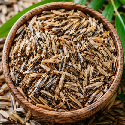 Hybrid Golden Bamboo Seeds