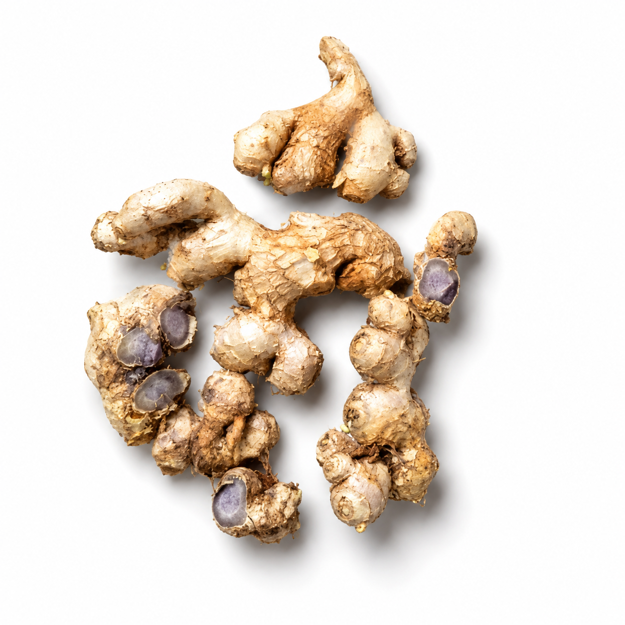 Black Ginger  Bulbs