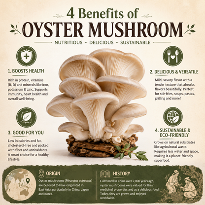 Oyster Mushroom Growing Kit