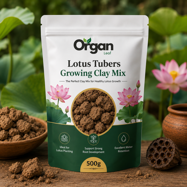 Lotus Tubers Growing Clay Mix