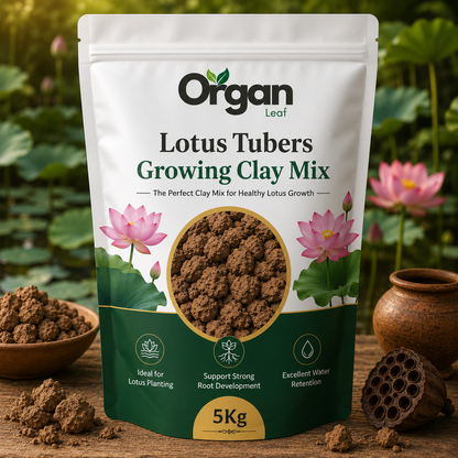 Lotus Tubers Growing Clay Mix