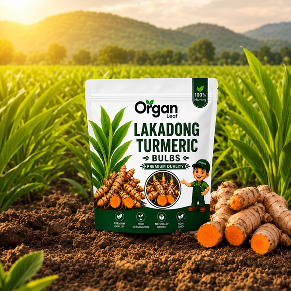 Lakadong Turmeric Bulbs