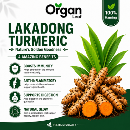 Lakadong Turmeric Bulbs