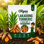 Lakadong Turmeric Bulbs