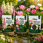 Monsoon Flower Bulbs Combo