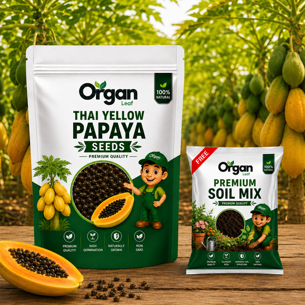 Thai Yellow Papaya Seeds
