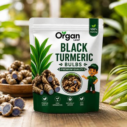 Black Turmeric  Bulbs