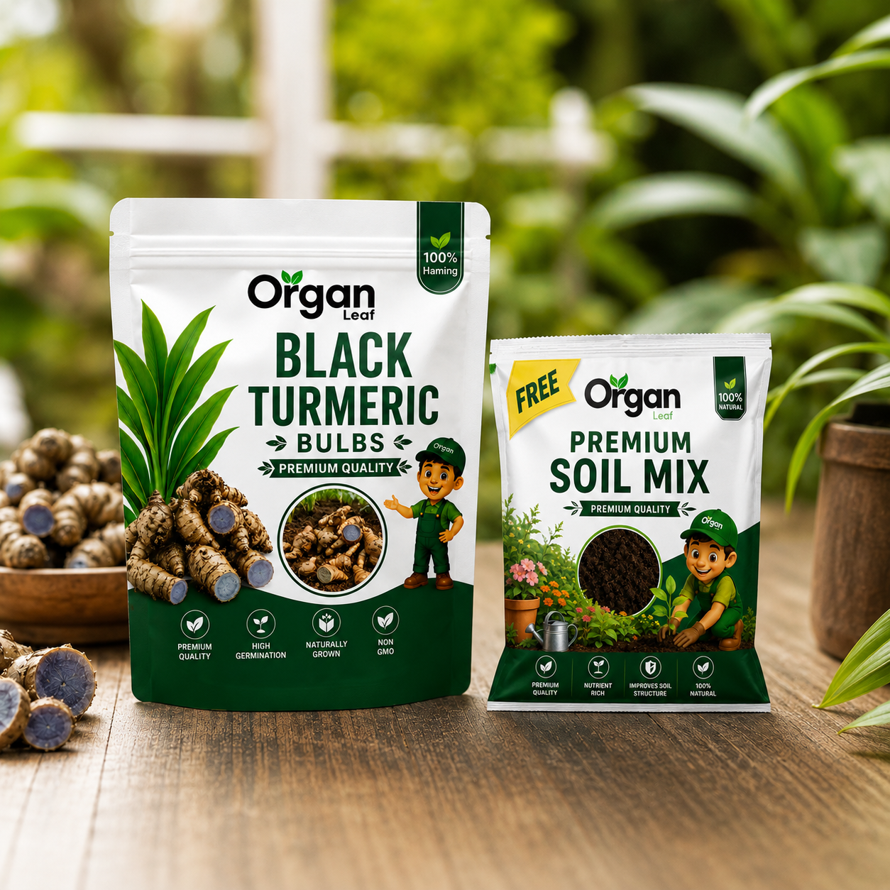 Black Turmeric  Bulbs