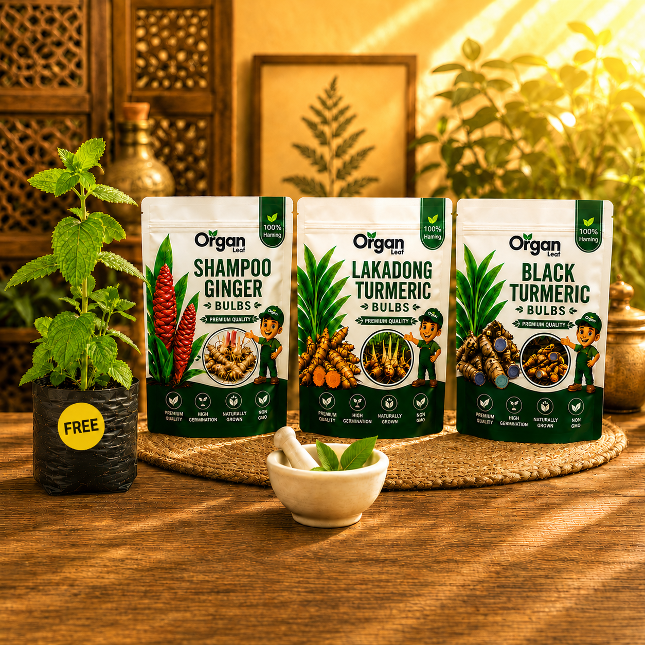 Ayurvedic Wellness Plant Combo