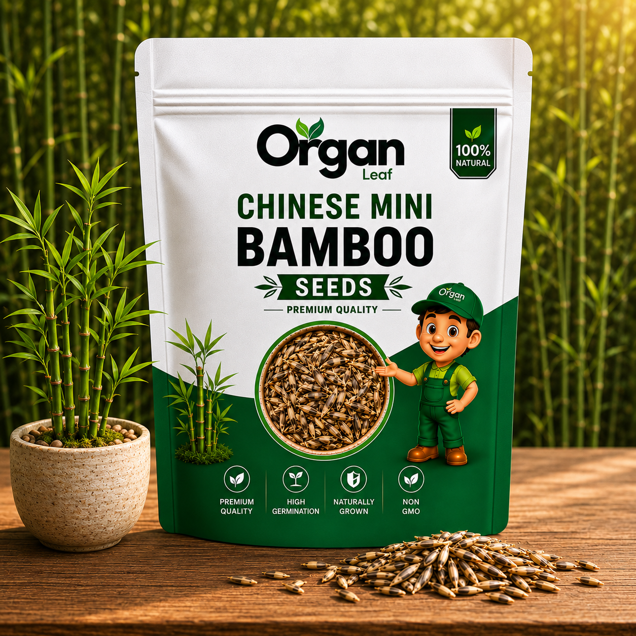 Chinese Mini Bamboo Seeds