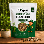 Chinese Mini Bamboo Seeds