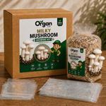 Milky Mushroom Growing Kit