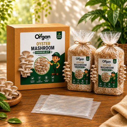 Oyster Mushroom Growing Kit
