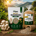 Milky Mushroom Seeds
