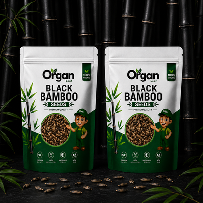 Black Bamboo Seeds