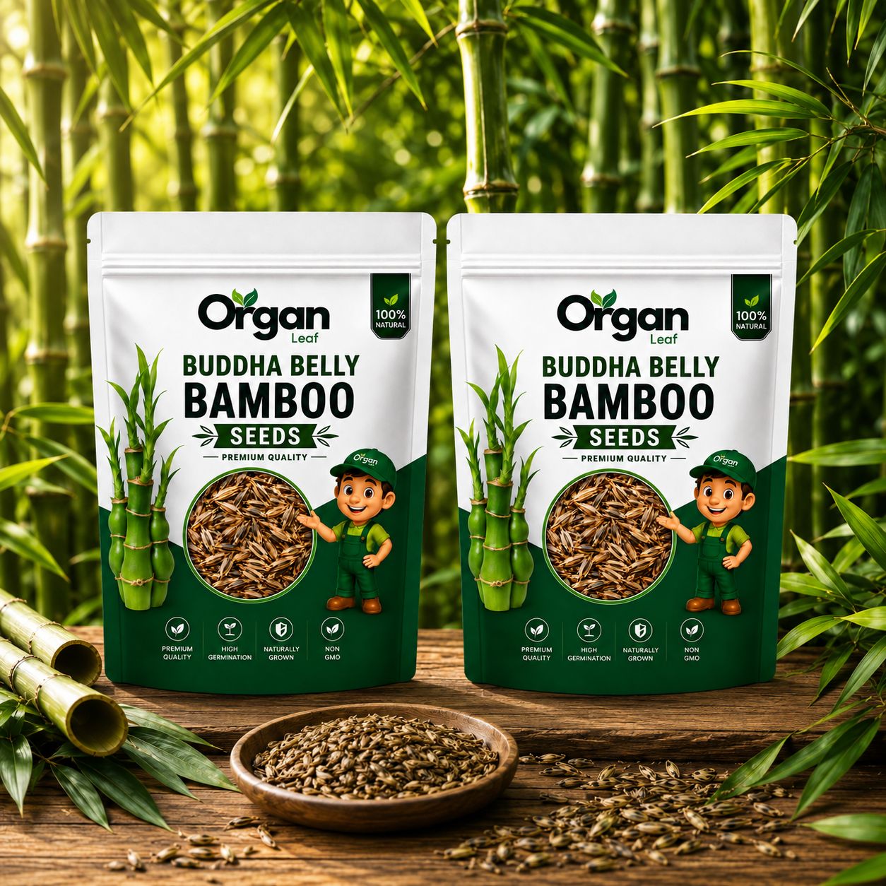 Buddha Belly Bamboo Seeds