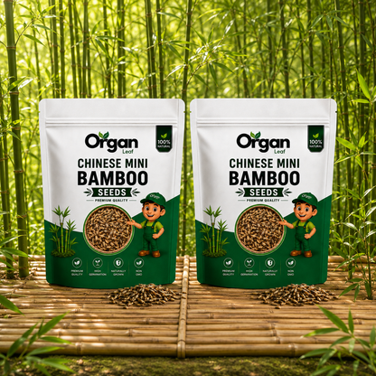 Chinese Mini Bamboo Seeds