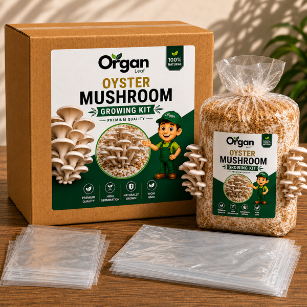 Oyster Mushroom Growing Kit