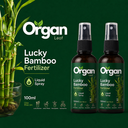 Lucky Bamboo Fertilizer