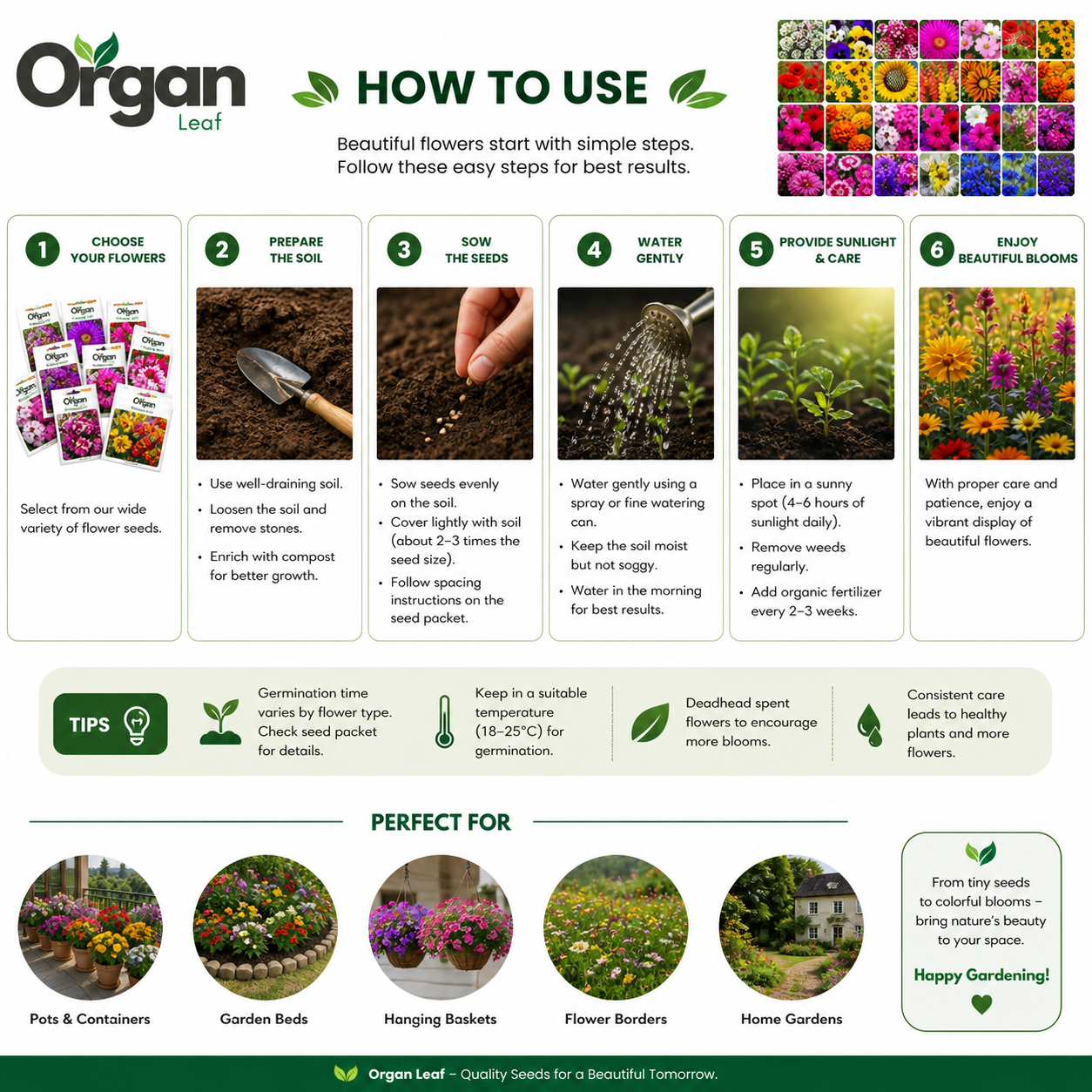 Flower Garden Mix - 20 Different Flower Variety Seeds