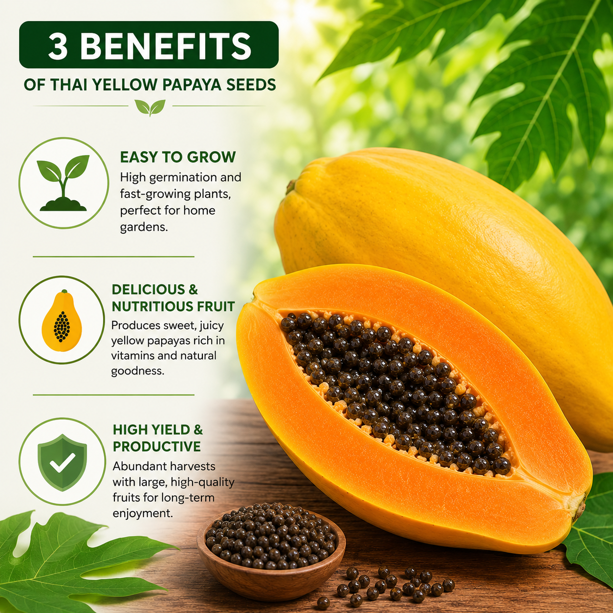 Thai Yellow Papaya Seeds