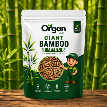 Giant Bamboo Seeds