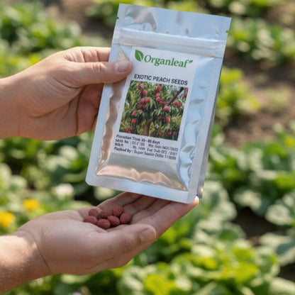 Imported Peach Seeds🍑