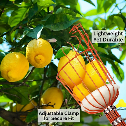 Fruit Picker with Basket