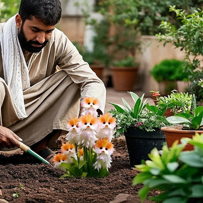 ✨ Cat Eye Dazzle Seeds 🌱 + Free 100g Organic Pot Mix ✨