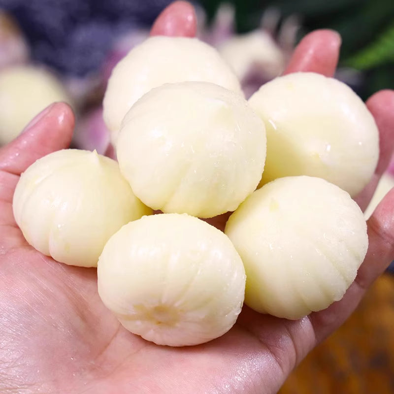 Single Clove Garlic Seeds🧄 + Free Plant Growth Serum🌱