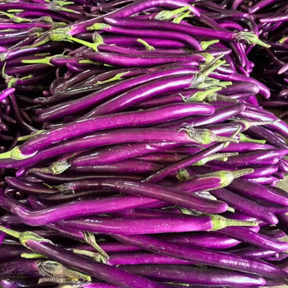 Exotic Giant Eggplant Seeds🍆