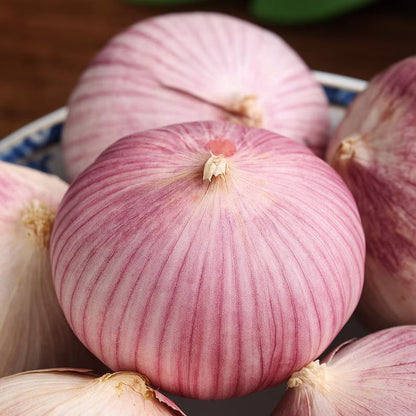 Single Clove Garlic Seeds🧄 + Free Plant Growth Serum🌱