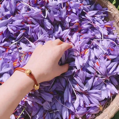 Saffron Bulbs II Kashmiri Kesar Plant